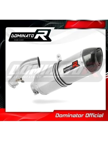 Silencieux slip-on Dominator HP1 pour BMW R1200ST (2004-2009)