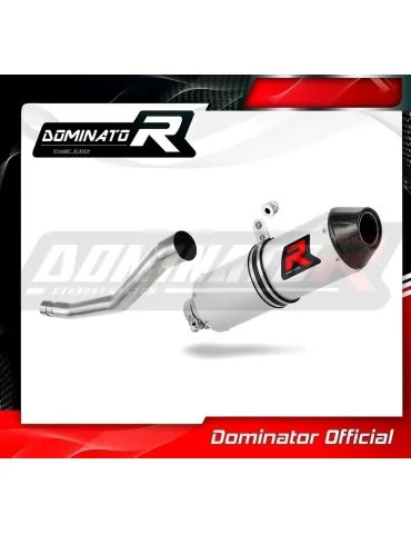 Silencieux slip-on Dominator MX2 pour Yamaha WR 125 R (2009-2014)
