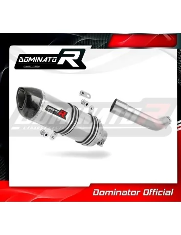 Silencieux slip-on Dominator HP1 pour Piaggio Vespa GTS 125 (2007-2012)