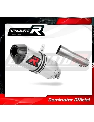 Silencieux slip-on Dominator HP3 pour KTM 390 Duke (2021-2023)