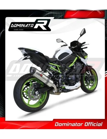 Silencieux slip-on Dominator HP1 pour Kawasaki Z 900 (2020-2024)