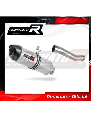 Silencieux slip-on Dominator HP1 pour Aprilia RSV 4 R APRC Factory (2011-2015)