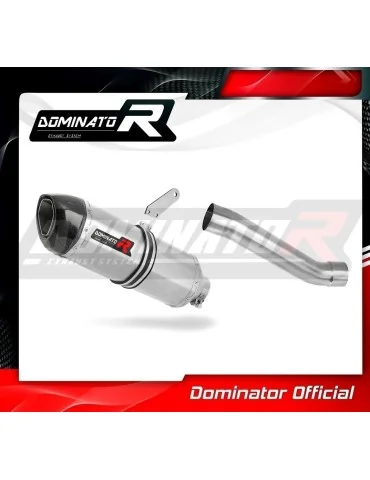 Silencieux slip-on Dominator HP1 pour Ducati Monster 821 (2018-2021)