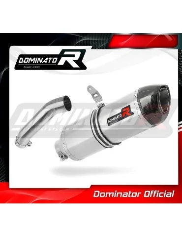 Silencieux slip-on Dominator HP1 pour BMW HP2 Enduro (2004-2007)