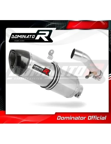 Silencieux slip-on Dominator HP1 pour Honda NC 700 / 750 D Integra (2012-2020)