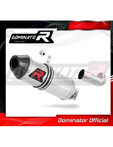 Silencieux slip-on Dominator HP3 pour KTM 390 Duke (2017-2020)
