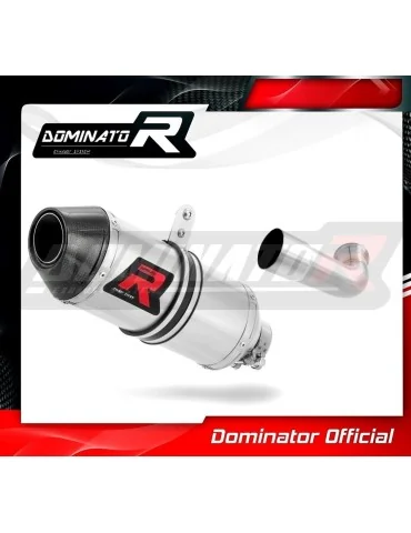 Silencieux slip-on Dominator HP3 pour KTM 250 Duke (2017-2020)