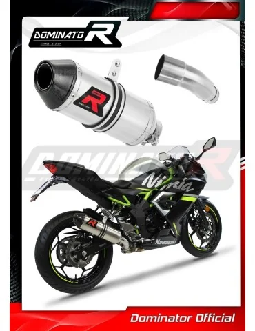 Silencieux slip-on Dominator HP3 pour Kawasaki Ninja 125 Z125 (2019-2023)