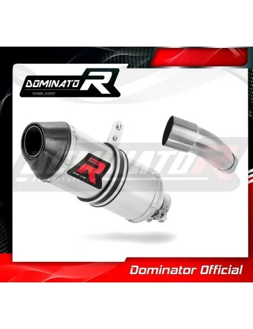Silencieux slip-on Dominator HP3 pour Kawasaki Ninja 125 Z125 (2019-2023)