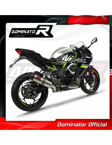 Silencieux slip-on Dominator HP3 pour Kawasaki Ninja 125 Z125 (2019-2023)