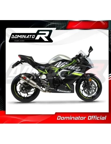 Silencieux slip-on Dominator HP3 pour Kawasaki Ninja 125 Z125 (2019-2023)