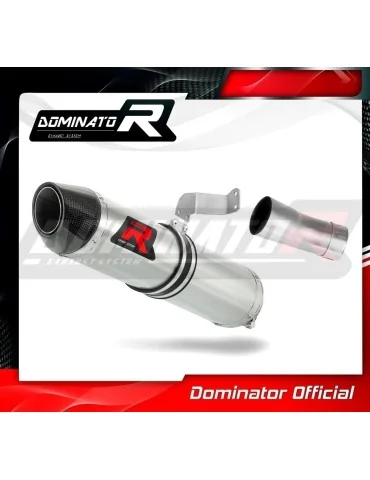 Silencieux slip-on Dominator HP2 pour Triumph Street Triple 765 S R RS (2017-2022)