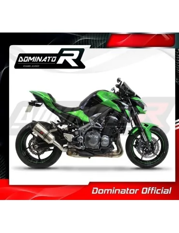Silencieux slip-on Dominator HP1 pour Kawasaki Z900 (2017-2019)