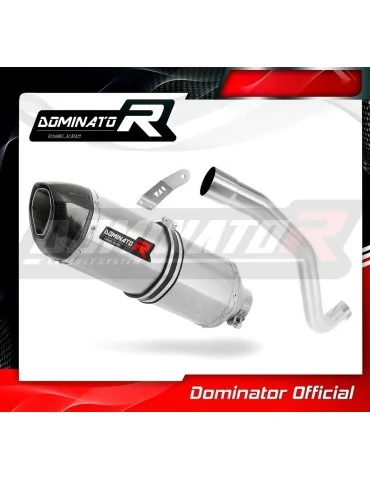 Silencieux slip-on Dominator HP1 pour Triumph Tiger Sport 1050 HI Level (2013-2015)
