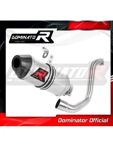 Silencieux slip-on Dominator HP3 pour KTM 200 Duke (2011-2016)