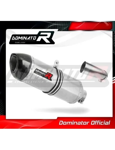 Silencieux slip-on Dominator HP1 pour Kawasaki ZX10R (2011-2015)