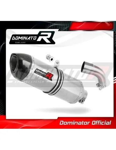 Silencieux slip-on Dominator HP1 pour Suzuki SV 650 (2016-2023)