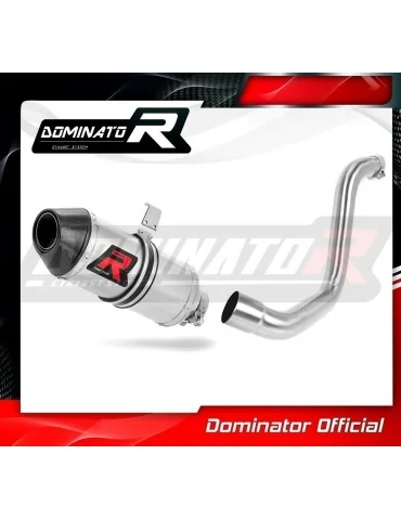 Silencieux slip-on Dominator HP3 pour KTM 125 Duke (2012-2016)