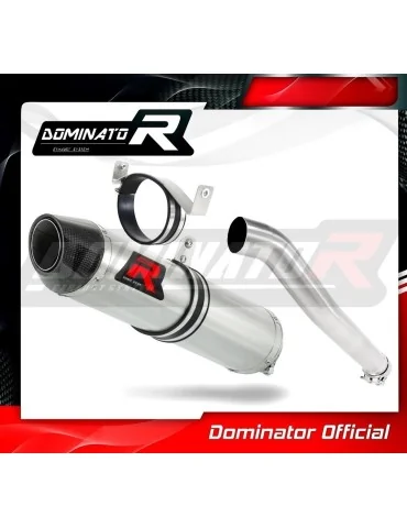 Silencieux slip-on Dominator HP2 pour Honda CBR 1000RR (2006-2007)