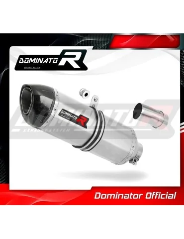 Silencieux slip-on Dominator HP1 pour Honda CB 1000 R (2018-2020)