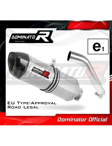 Silencieux slip-on homologué Dominator HP1 pour BMW F750GS (2016-2020)