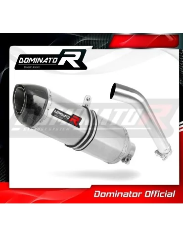 Silencieux slip-on homologué Dominator HP1 pour BMW F850GS (2016-2020)