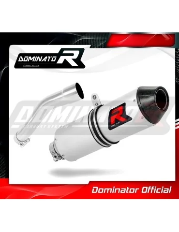 Silencieux slip-on Dominator MX2 pour BMW G650 Xmoto