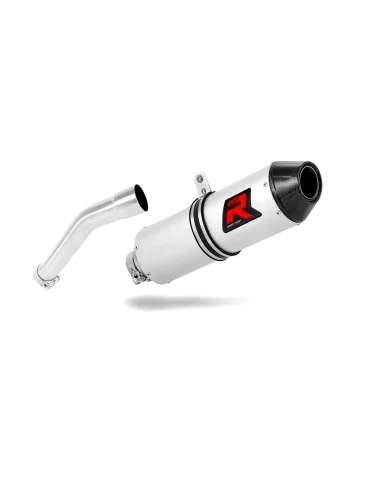 Silencieux slip-on Dominator MX2 pour BMW G650 XChallenge
