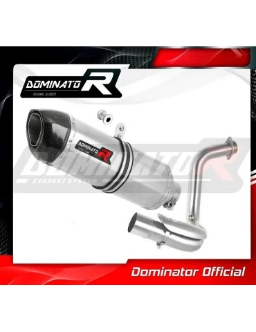 Silencieux slip-on Dominator HP1 pour BMW G310GS (2016-2024)
