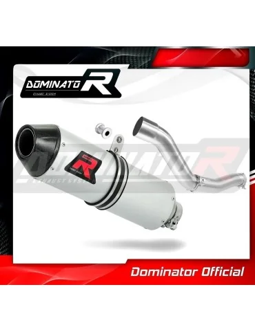 Silencieux slip-on Dominator MX2 pour Yamaha WR 450 F (2012-2015)