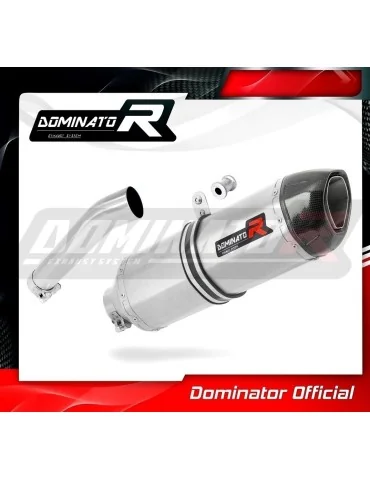 Silencieux slip-on Dominator HP1 pour BMW G650 GS (2011-2018)
