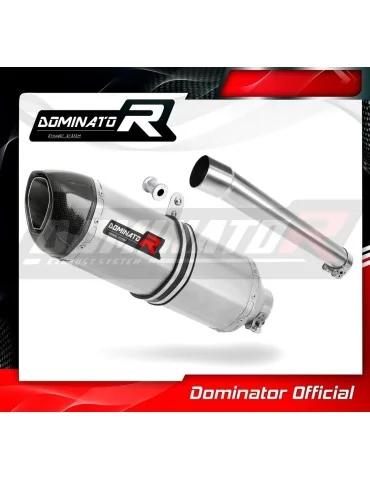 Silencieux slip-on Dominator HP1 pour Honda XRV 750 Africa Twin RD07A (1996-2003)