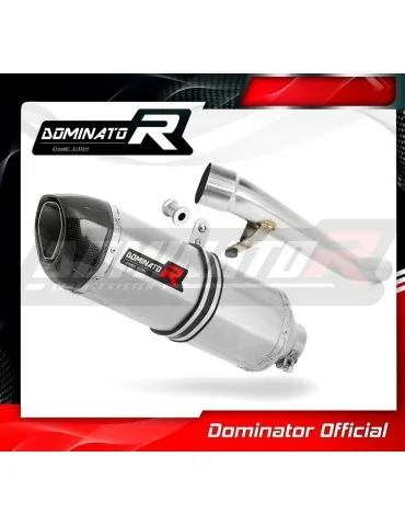 Silencieux slip-on Dominator HP1 pour Suzuki GSF Bandit 1200 (2006-2007)