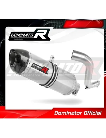 Silencieux slip-on Dominator HP1 pour Honda VFR 1200 F (2010-2018)