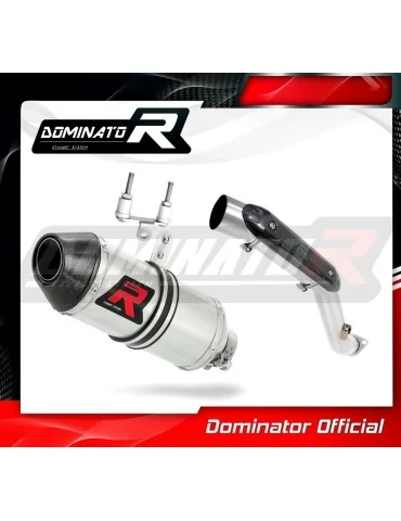 Silencieux slip-on Dominator HP3 pour BMW G310R Hi Level (2016-2022)