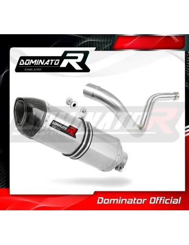 Silencieux slip-on Dominator HP1 pour BMW G310R (2016-2022)