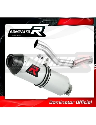 Silencieux slip-on Dominator MX2 pour Yamaha WR 250 F (2001-2006)