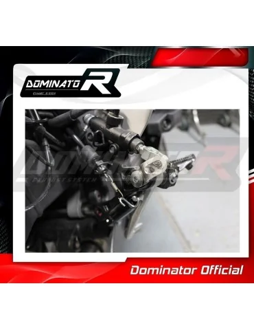 Silencieux slip-on Dominator HP3 pour Kawasaki ZX6R 636 Low Level (2009-2024)