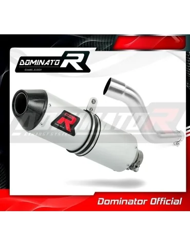 Silencieux slip-on Dominator MX2 pour Suzuki DR 650RSE (1990-1996)