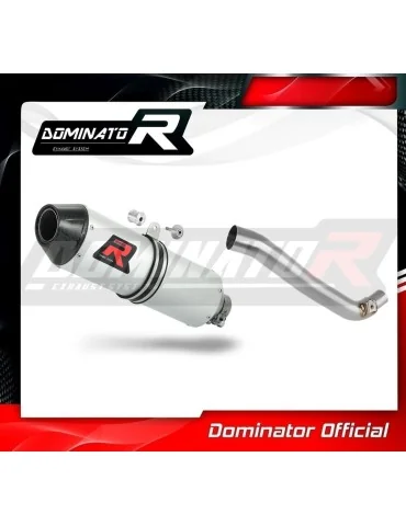 Silencieux slip-on Dominator MX2 pour Suzuki DR 650 SE / S (1996-2024)