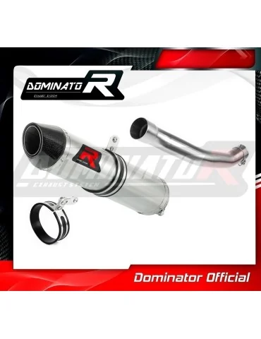 Silencieux slip-on Dominator HP2 pour Suzuki LTR 450 (2006-2009)