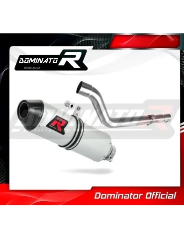 Silencieux slip-on Dominator MX2 pour Suzuki DRZ 400 SM S (2000-2019)