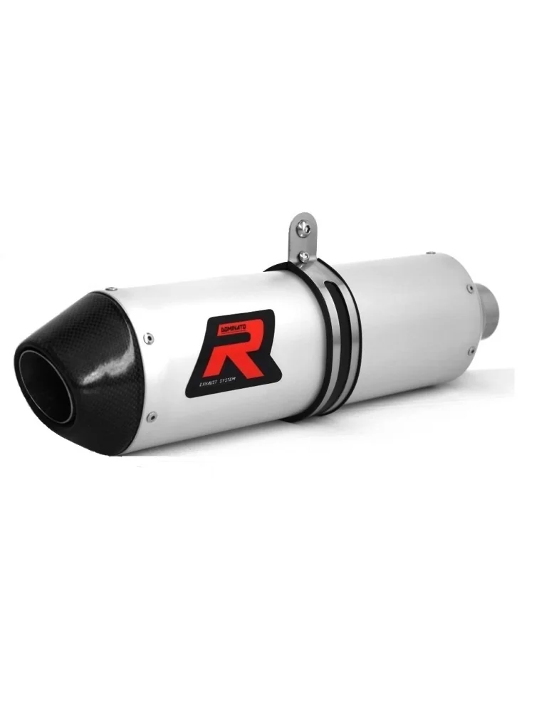 Silencieux slip-on Dominator MX2 pour KTM SX 525 (2000-2003)