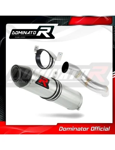 Silencieux slip-on Dominator HP2 pour Kawasaki ZX6R 636 (2005-2006)