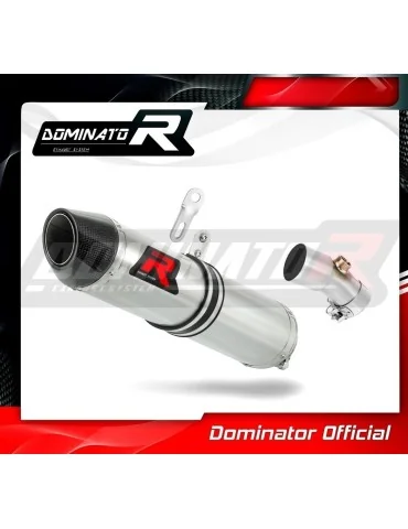 Silencieux slip-on Dominator HP2 pour Kawasaki KLE 650 Versys (2006-2014)