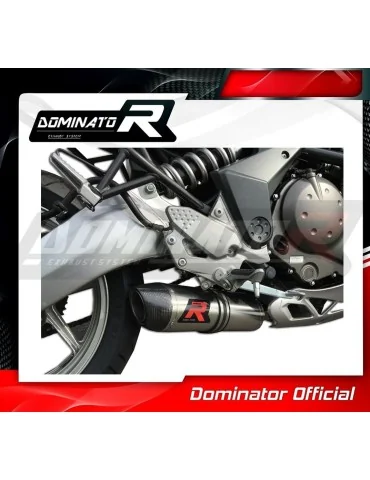 Silencieux slip-on Dominator HP2 pour Kawasaki KLE 650 Versys (2006-2014)