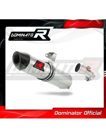 Silencieux slip-on Dominator HP2 pour Kawasaki ER - 6 N / F 650 (2009-2011)