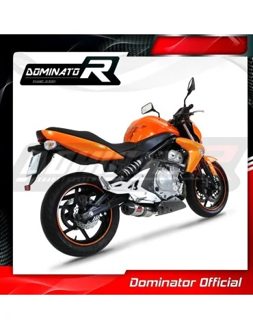 Silencieux slip-on Dominator HP2 pour Kawasaki ER - 6 N / F 650 (2009-2011)