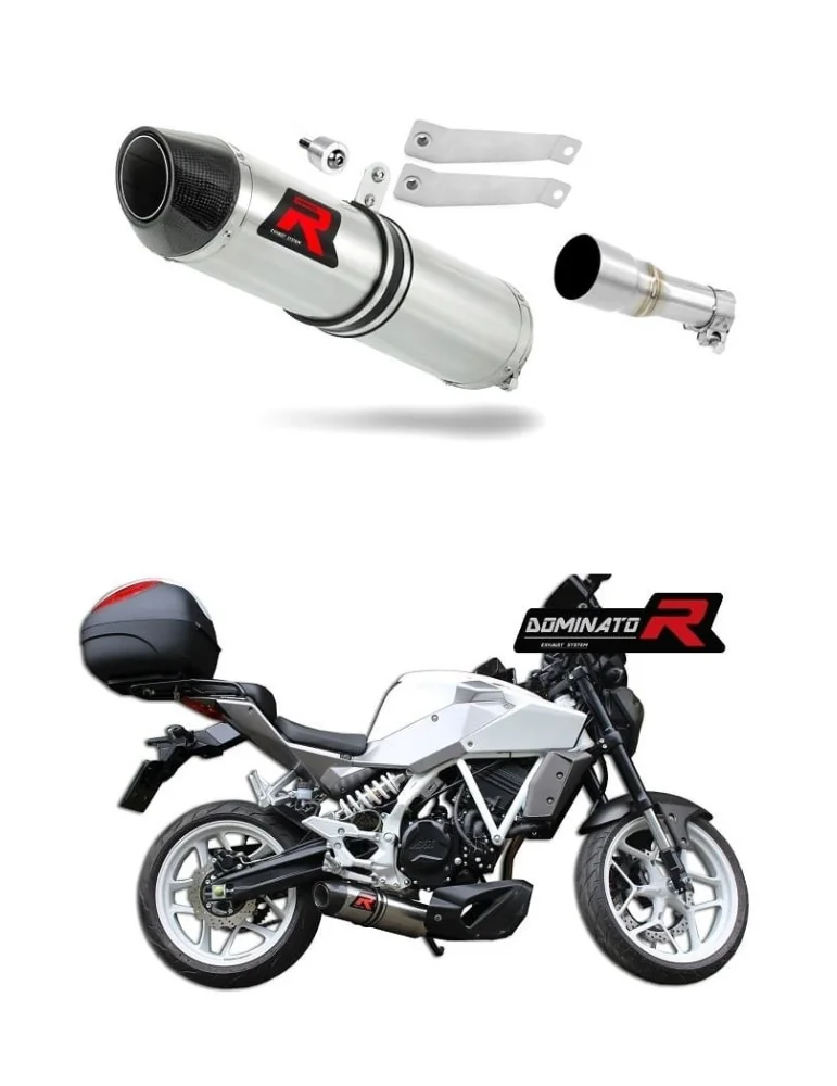Silencieux slip-on Dominator HP2 pour Hyosung GD 250 Exiv