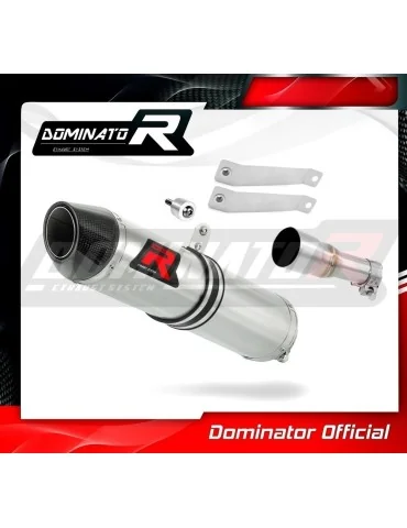 Silencieux slip-on Dominator HP2 pour Hyosung GD 250 Exiv